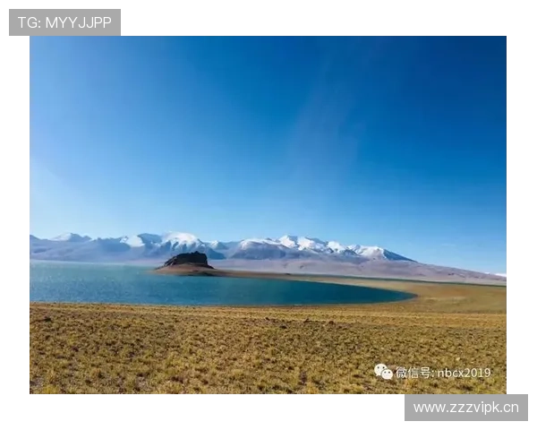 坚持与突破我在铁人三项训练中收获的身心蜕变之路