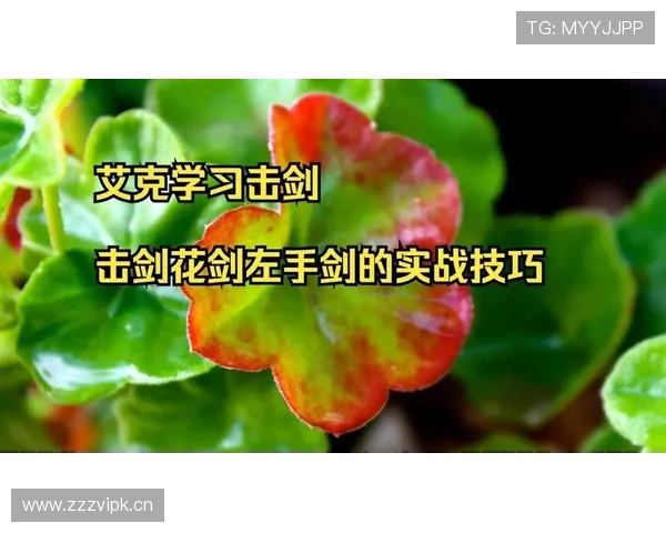 《初学者必读击剑入门指南从基础知识到实战技巧全解析》 《初学者必读击剑入门指南从基础知识到实战技巧全解析》